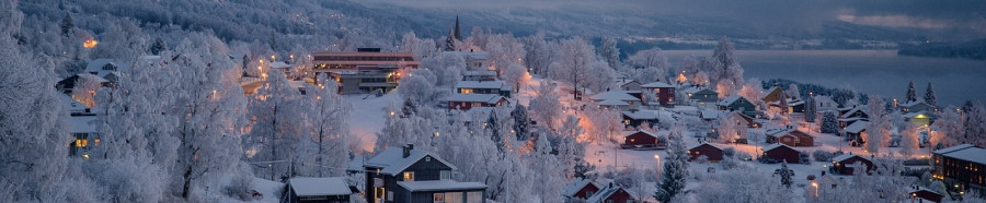 SØNDRE LAND KOMMUNE HELSE- OG SOSIALADMINISTRASJON