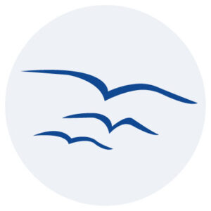 Ringerike Montessori As