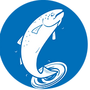 Lofoten Sjøprodukter AS