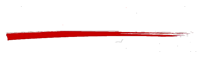 Grua Auto AS